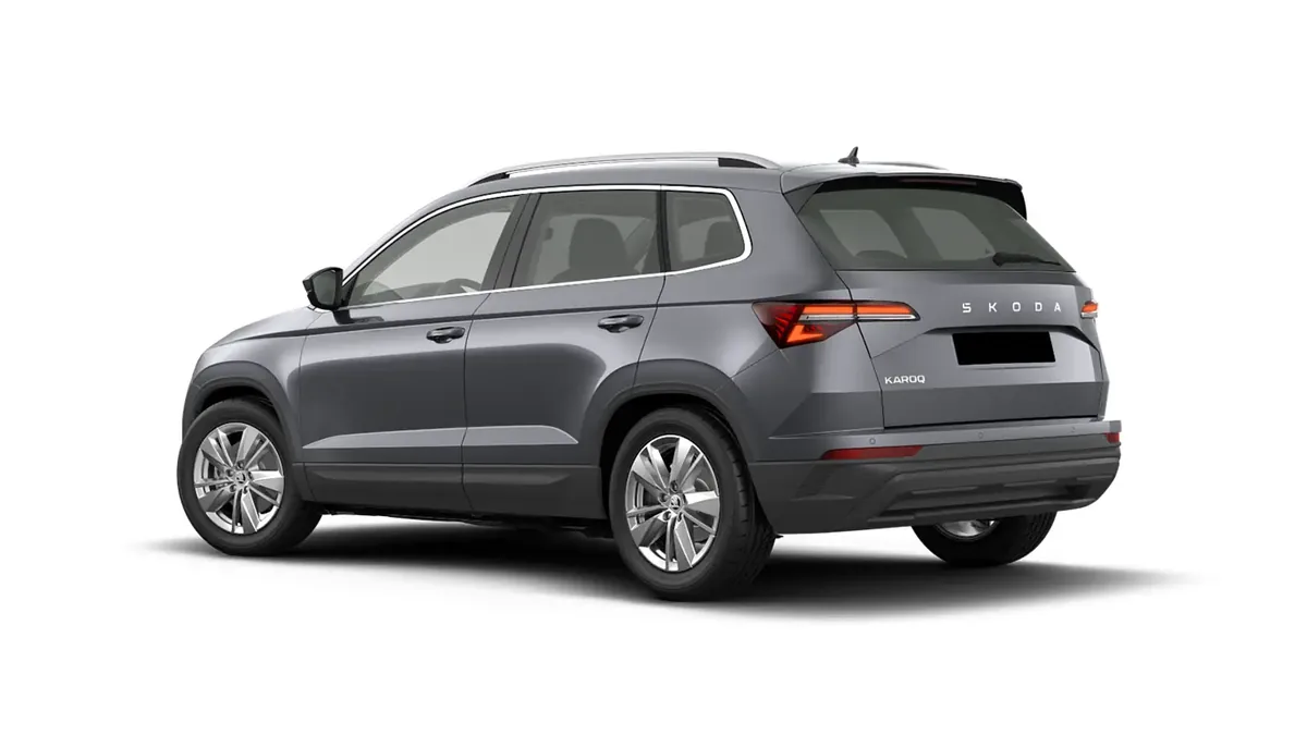 Škoda Karoq Selection 2.0 TDI DSG en renting en Madrid — vista 6